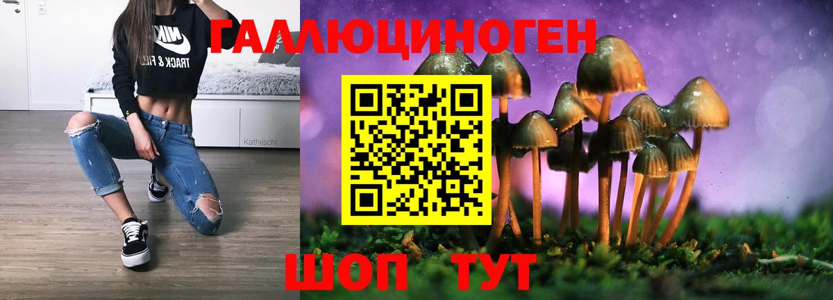 где купить   Псилоцибиновые грибы Psilocybe  Вход с VPN  Гусиноозёрск  Галлюциногенные грибы ЛСД 